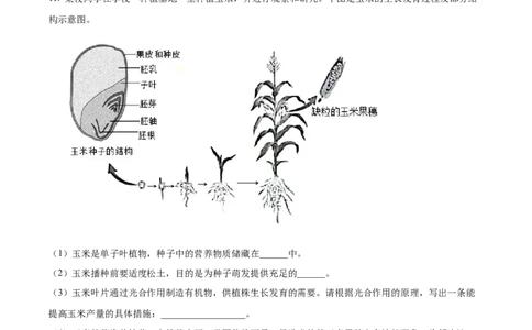 精品解析：2023年安徽省中考生物真题（原卷版）_中考真题_8.生物中考真题2015-2024年_2023年全国中考生物7.20_精品解析：2023年安徽省中考生物真题