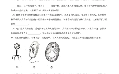 精品解析：2023年安徽省中考生物真题（原卷版）_中考真题_8.生物中考真题2015-2024年_2023年全国中考生物7.20_精品解析：2023年安徽省中考生物真题