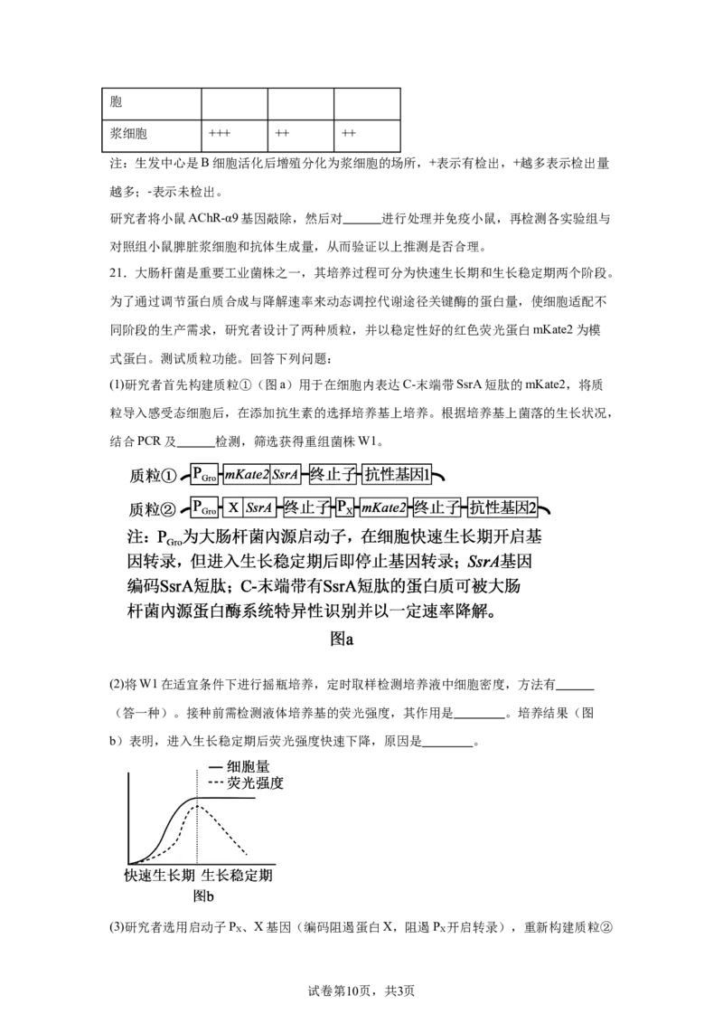 广东2025年高考广东卷生物高考真题文档版-A4答案卷尾_1.高考2025全国各省真题+答案_00.2025各省市高考真题及答案（按省份分类）_4、广东卷（9科全）_6.生物