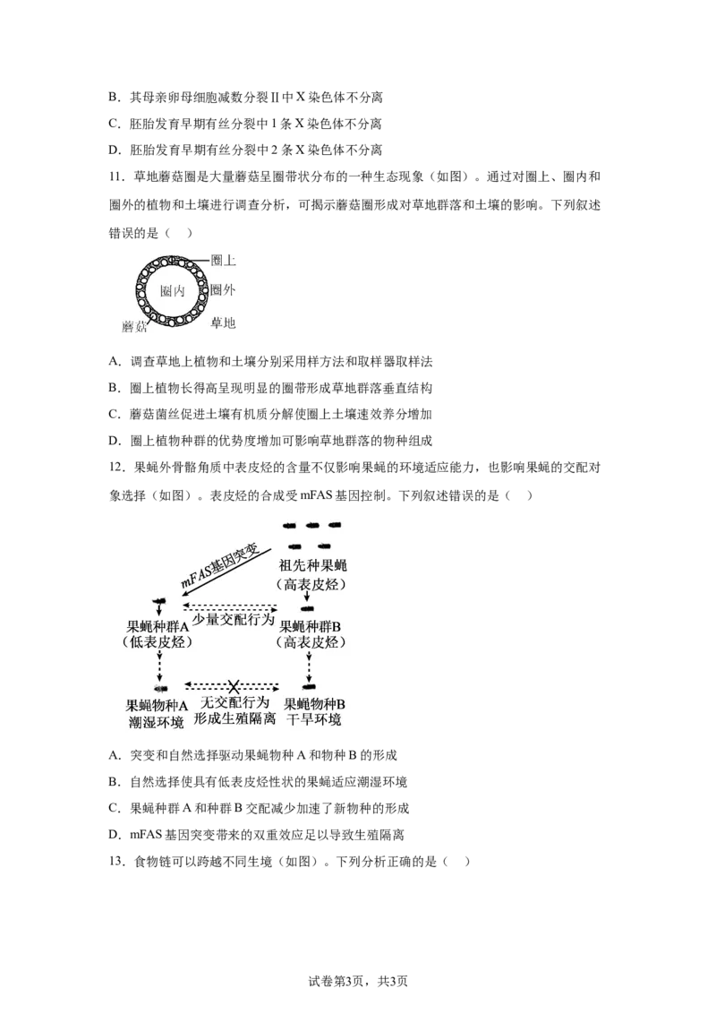 广东2025年高考广东卷生物高考真题文档版-A4答案卷尾_1.高考2025全国各省真题+答案_00.2025各省市高考真题及答案（按省份分类）_4、广东卷（9科全）_6.生物