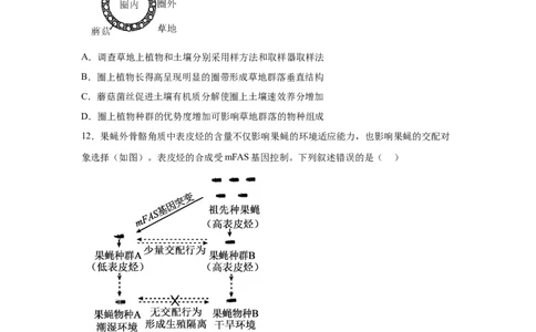 广东2025年高考广东卷生物高考真题文档版-A4答案卷尾_1.高考2025全国各省真题+答案_00.2025各省市高考真题及答案（按省份分类）_4、广东卷（9科全）_6.生物