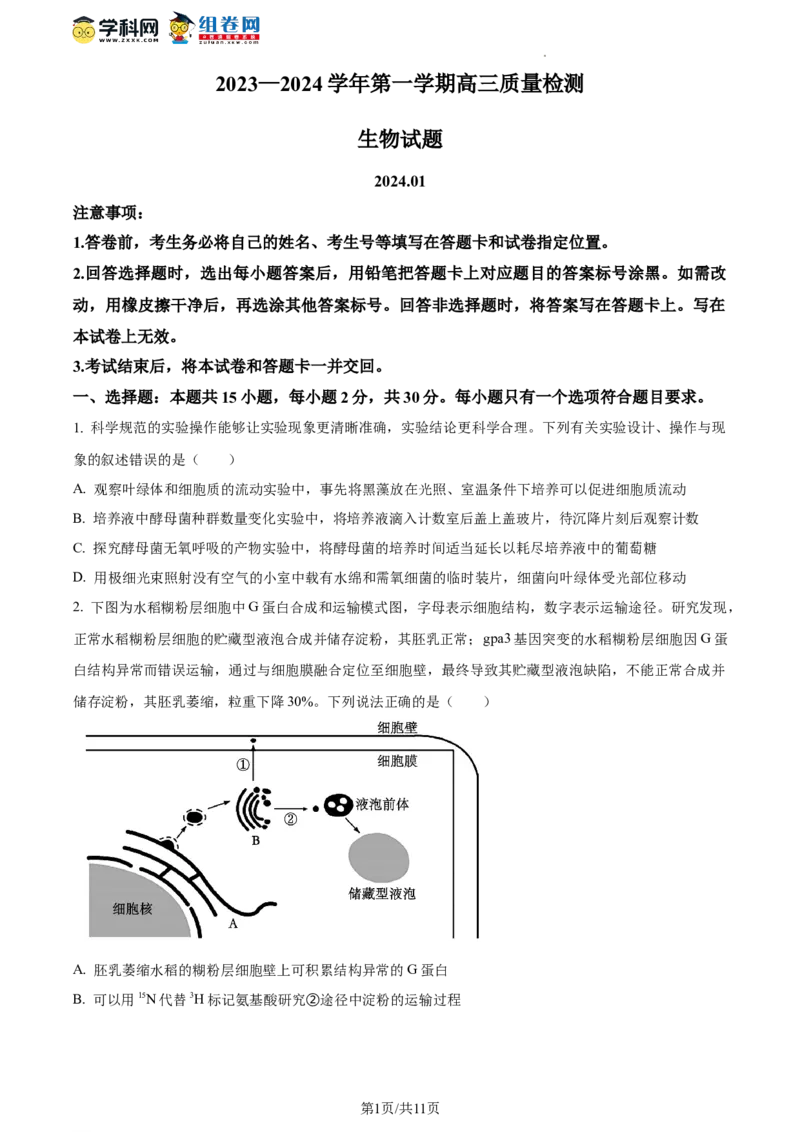 精品解析：山东省枣庄市2023-2024学年高三1月期末质量检测生物试题（原卷版）_2024届山东省枣庄市高三上学期期末考试试题_2024届山东省枣庄市高三上学期期末考试试题生物
