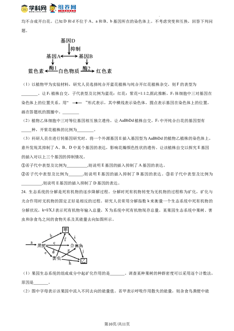 精品解析：山东省枣庄市2023-2024学年高三1月期末质量检测生物试题（原卷版）_2024届山东省枣庄市高三上学期期末考试试题_2024届山东省枣庄市高三上学期期末考试试题生物