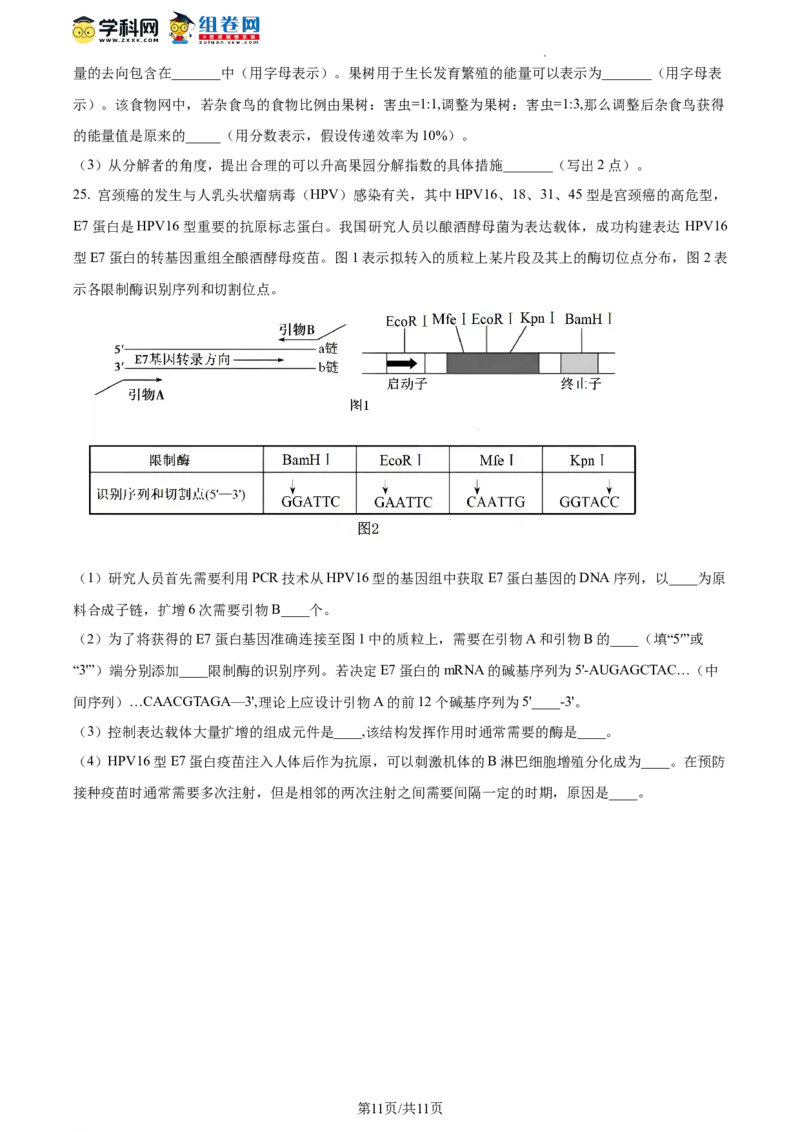 精品解析：山东省枣庄市2023-2024学年高三1月期末质量检测生物试题（原卷版）_2024届山东省枣庄市高三上学期期末考试试题_2024届山东省枣庄市高三上学期期末考试试题生物