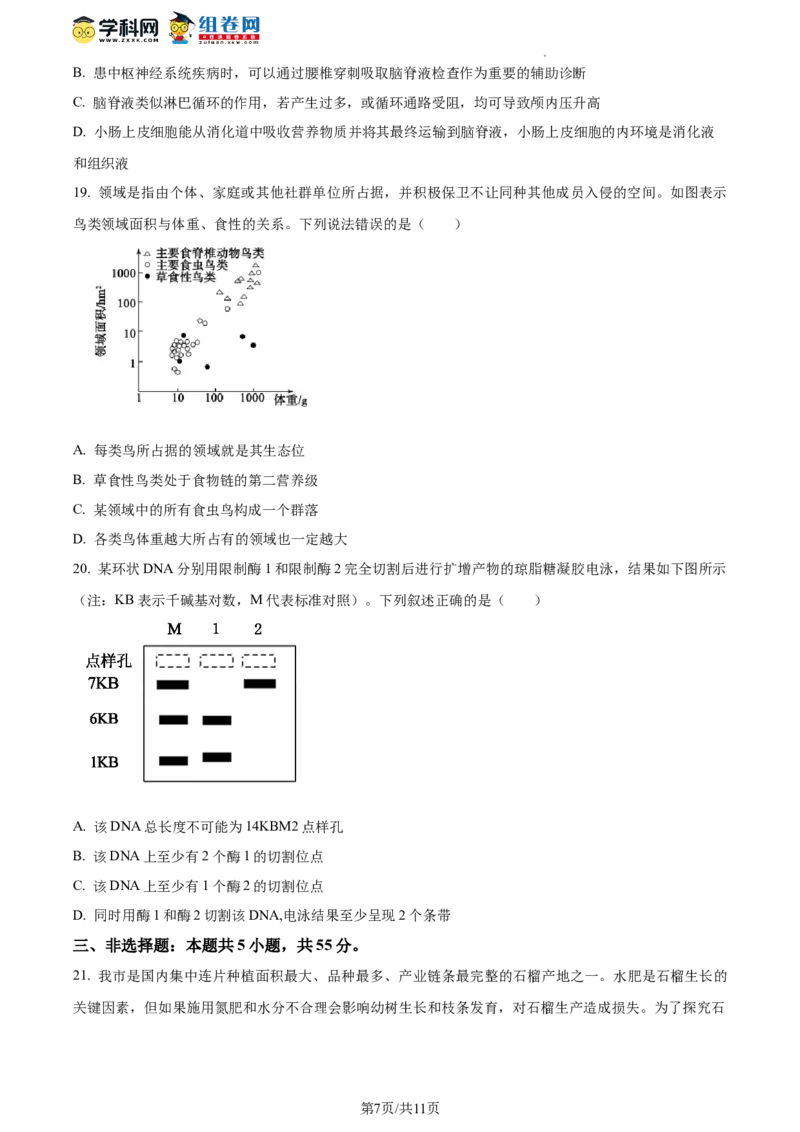 精品解析：山东省枣庄市2023-2024学年高三1月期末质量检测生物试题（原卷版）_2024届山东省枣庄市高三上学期期末考试试题_2024届山东省枣庄市高三上学期期末考试试题生物