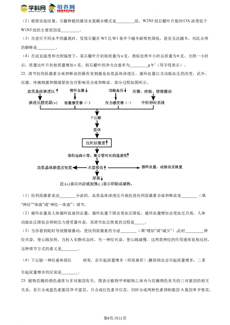精品解析：山东省枣庄市2023-2024学年高三1月期末质量检测生物试题（原卷版）_2024届山东省枣庄市高三上学期期末考试试题_2024届山东省枣庄市高三上学期期末考试试题生物
