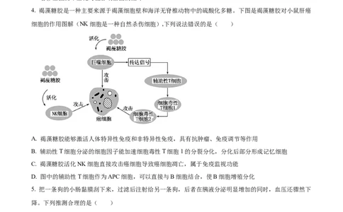 精品解析：山东省枣庄市2023-2024学年高三1月期末质量检测生物试题（原卷版）_2024届山东省枣庄市高三上学期期末考试试题_2024届山东省枣庄市高三上学期期末考试试题生物