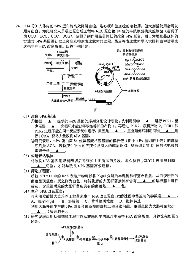 生物-浙江宁波市九校2025年高二下学期6月期末_2025年7月_250701浙江宁波市九校2025年高二下学期6月期末（全科）