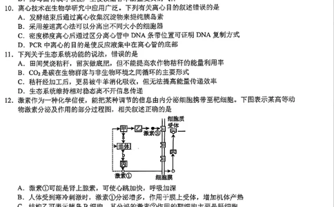 生物-浙江宁波市九校2025年高二下学期6月期末_2025年7月_250701浙江宁波市九校2025年高二下学期6月期末（全科）