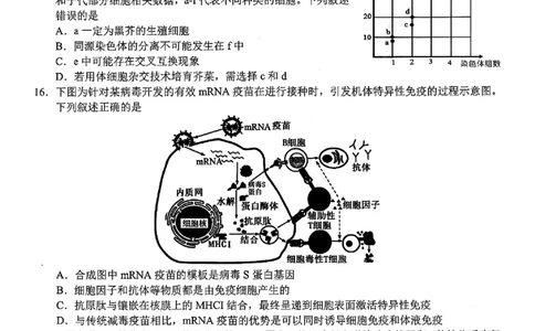 生物-浙江宁波市九校2025年高二下学期6月期末_2025年7月_250701浙江宁波市九校2025年高二下学期6月期末（全科）