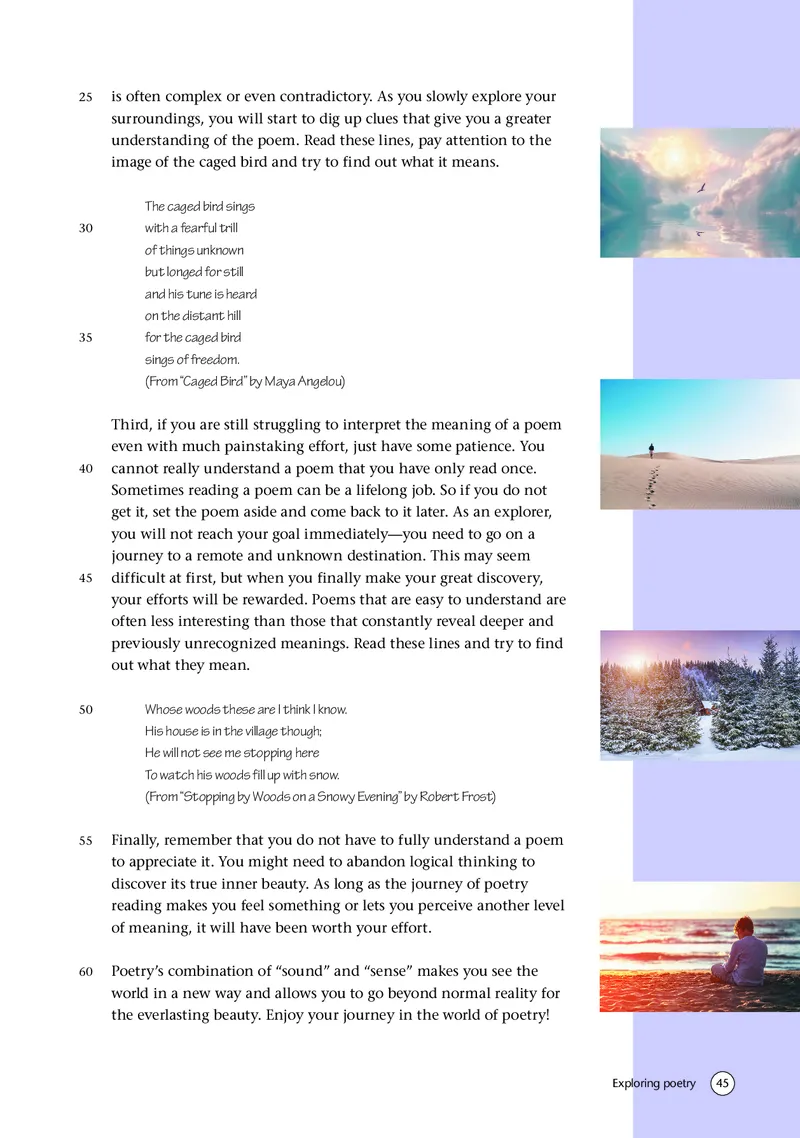 译林版英语选修第一册高清教材_4-教培资料-26年最新资料-同步更新_初中高中教资_03科三专项（进去保存报考的学科即可）_02科三专项（笔记真题思维导图教学设计版本二）