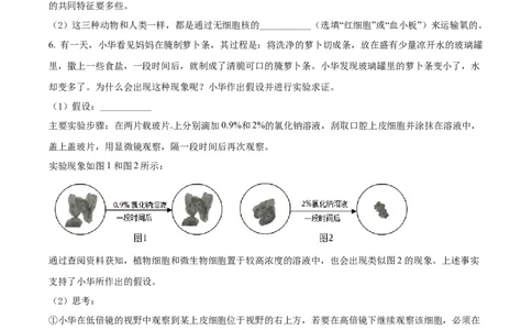 精品解析：2022年浙江省湖州市中考生物真题（原卷版）_中考真题_8.生物中考真题2015-2024年_2022年全国中考生物114份14