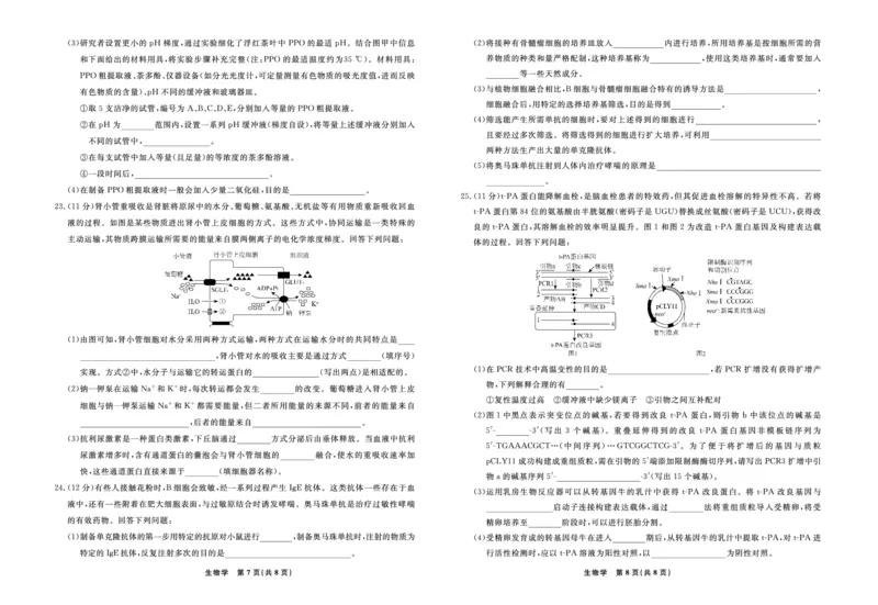 生物辽宁省县域重点高中2024-2025学年度高二下学期期末考试_2025年7月_250725衡中同卷&middot;辽宁省县域重点高中2024-2025学年度高二下学期期末考试（全科）