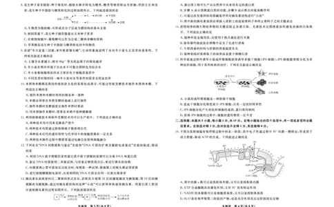 生物辽宁省县域重点高中2024-2025学年度高二下学期期末考试_2025年7月_250725衡中同卷&middot;辽宁省县域重点高中2024-2025学年度高二下学期期末考试（全科）
