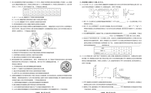 生物辽宁省县域重点高中2024-2025学年度高二下学期期末考试_2025年7月_250725衡中同卷&middot;辽宁省县域重点高中2024-2025学年度高二下学期期末考试（全科）