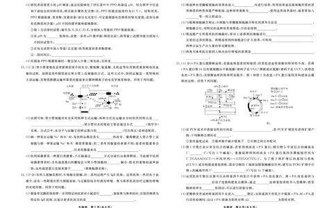 生物辽宁省县域重点高中2024-2025学年度高二下学期期末考试_2025年7月_250725衡中同卷&middot;辽宁省县域重点高中2024-2025学年度高二下学期期末考试（全科）