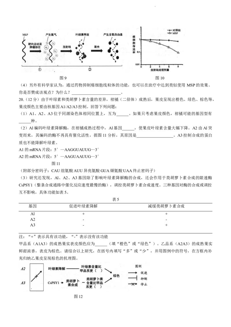 广东省大湾区2024届高三上学期联合模拟考试（一）生物_2024届广东省大湾区高三上学期联合模拟考试（一）