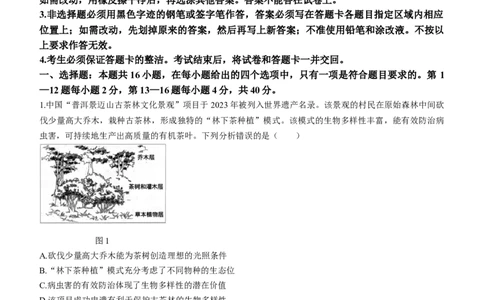 广东省大湾区2024届高三上学期联合模拟考试（一）生物_2024届广东省大湾区高三上学期联合模拟考试（一）
