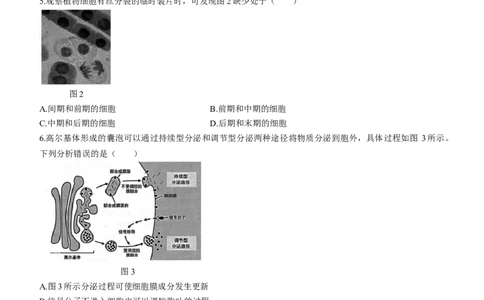 广东省大湾区2024届高三上学期联合模拟考试（一）生物_2024届广东省大湾区高三上学期联合模拟考试（一）