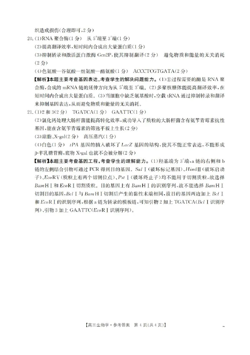 青海省金太阳2025-2026学年高三上学期11月月考生物试题（含答案）_251125青海省金太阳2025-2026学年高三上学期11月联考（全科）