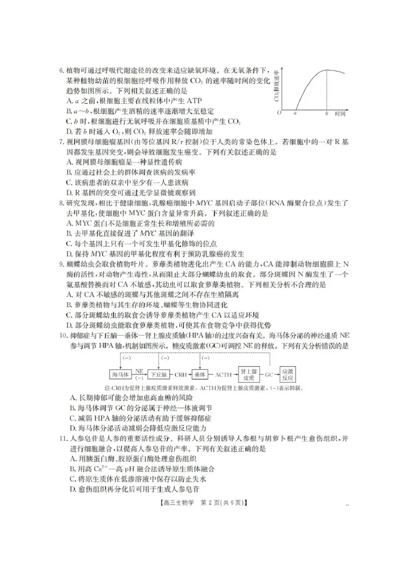 青海省金太阳2025-2026学年高三上学期11月月考生物试题（含答案）_251125青海省金太阳2025-2026学年高三上学期11月联考（全科）