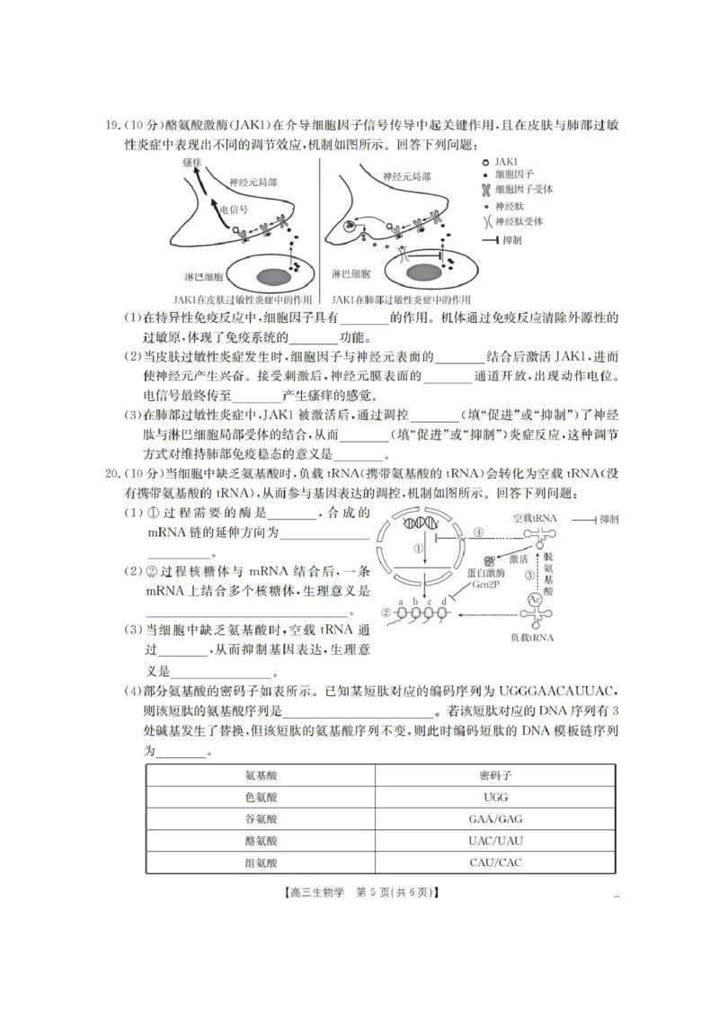 青海省金太阳2025-2026学年高三上学期11月月考生物试题（含答案）_251125青海省金太阳2025-2026学年高三上学期11月联考（全科）