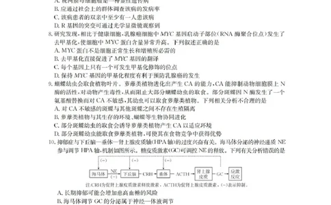 青海省金太阳2025-2026学年高三上学期11月月考生物试题（含答案）_251125青海省金太阳2025-2026学年高三上学期11月联考（全科）