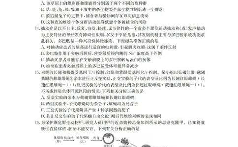 青海省金太阳2025-2026学年高三上学期11月月考生物试题（含答案）_251125青海省金太阳2025-2026学年高三上学期11月联考（全科）
