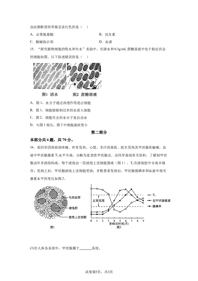 北京2025年高考北京生物高考真题文档版_1.高考2025全国各省真题+答案_00.2025各省市高考真题及答案（按省份分类）_1、北京卷（9科全）_9.生物
