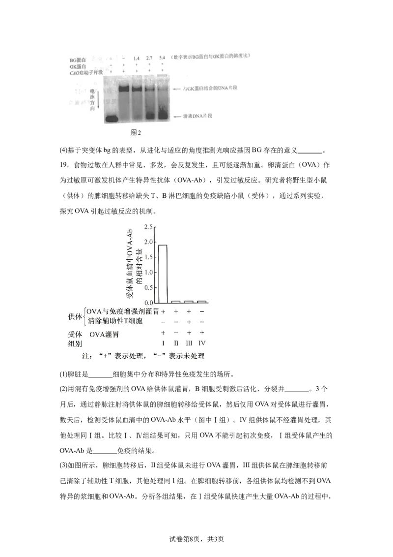 北京2025年高考北京生物高考真题文档版_1.高考2025全国各省真题+答案_00.2025各省市高考真题及答案（按省份分类）_1、北京卷（9科全）_9.生物
