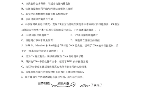 北京2025年高考北京生物高考真题文档版_1.高考2025全国各省真题+答案_00.2025各省市高考真题及答案（按省份分类）_1、北京卷（9科全）_9.生物