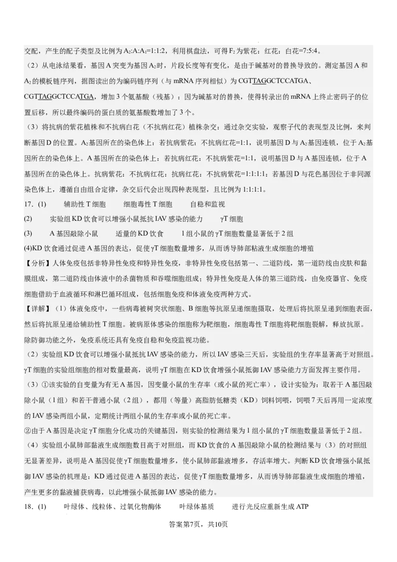 生物答案_2025年12月_2512162026届四川省成都市成华区列五中学高三上学期12月一诊考前模拟（全科）_2026届四川省成都市成华区列五中学高三上学期12月一诊考前模拟生物试题