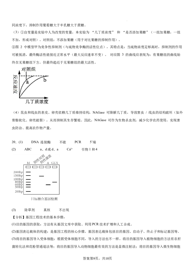 生物答案_2025年12月_2512162026届四川省成都市成华区列五中学高三上学期12月一诊考前模拟（全科）_2026届四川省成都市成华区列五中学高三上学期12月一诊考前模拟生物试题