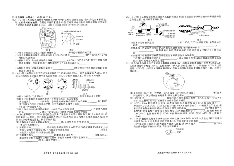 辽宁点石联考2025-2026学年高三上学期11月期中生物试题_251115辽宁点石联考2025-2026学年高三上学期11月期中试题