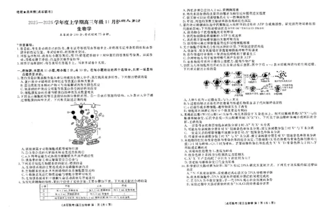 辽宁点石联考2025-2026学年高三上学期11月期中生物试题_251115辽宁点石联考2025-2026学年高三上学期11月期中试题