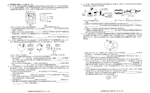 辽宁点石联考2025-2026学年高三上学期11月期中生物试题_251115辽宁点石联考2025-2026学年高三上学期11月期中试题