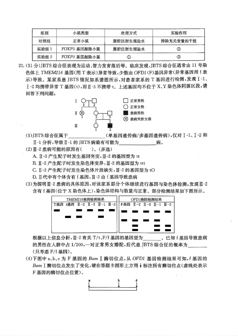 生物试卷_2025年12月_251227重庆市好教育部分学校金太阳2026届高三年级一诊前模拟演练(26-160C)（全科）
