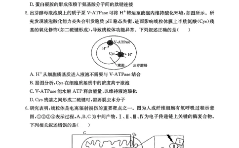 生物试卷_2025年12月_251227重庆市好教育部分学校金太阳2026届高三年级一诊前模拟演练(26-160C)（全科）
