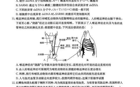 生物试卷_2025年12月_251227重庆市好教育部分学校金太阳2026届高三年级一诊前模拟演练(26-160C)（全科）