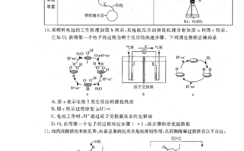 辽宁省名校联盟2025-2026学年高三上学期12月月考化学试题+答案_2025年12月_251209辽宁名校联盟2026届高三上学期12月联考_辽宁省名校联盟2025-2026学年高三上学期12月月考化学试题+答案