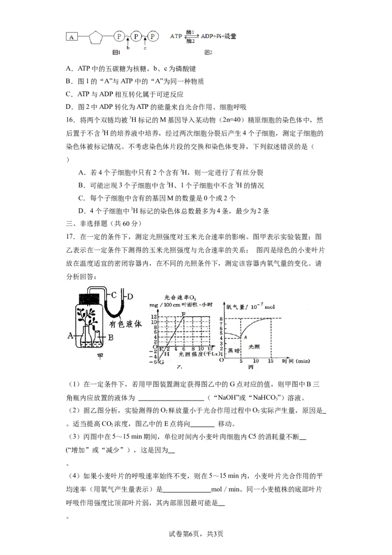 丰城九中2023-2024学年上学期高三第三次段考生物试卷_2024届江西省宜春市丰城市第九中学高三上学期12月月考_江西省宜春市丰城市第九中学2024届高三上学期12月月考生物