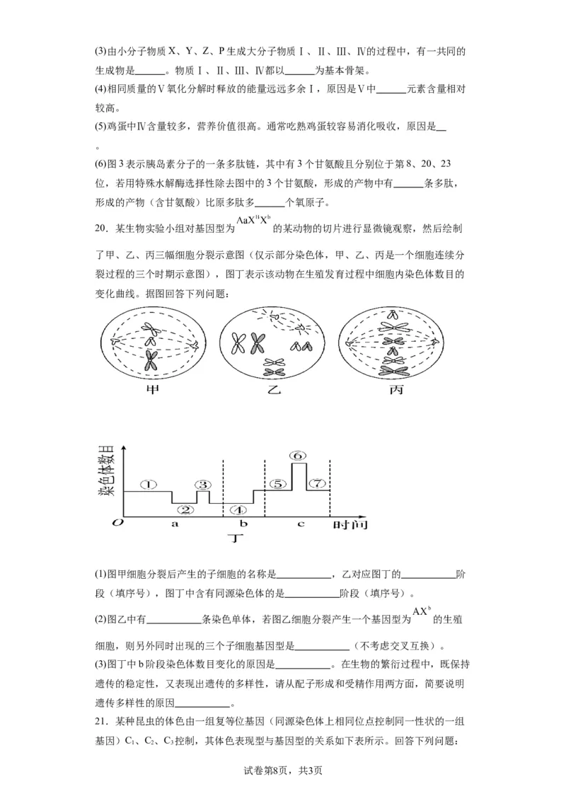 丰城九中2023-2024学年上学期高三第三次段考生物试卷_2024届江西省宜春市丰城市第九中学高三上学期12月月考_江西省宜春市丰城市第九中学2024届高三上学期12月月考生物