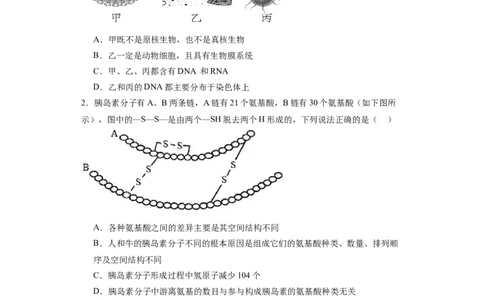 丰城九中2023-2024学年上学期高三第三次段考生物试卷_2024届江西省宜春市丰城市第九中学高三上学期12月月考_江西省宜春市丰城市第九中学2024届高三上学期12月月考生物