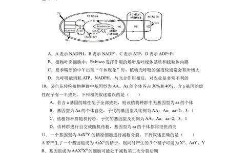 丰城九中2023-2024学年上学期高三第三次段考生物试卷_2024届江西省宜春市丰城市第九中学高三上学期12月月考_江西省宜春市丰城市第九中学2024届高三上学期12月月考生物