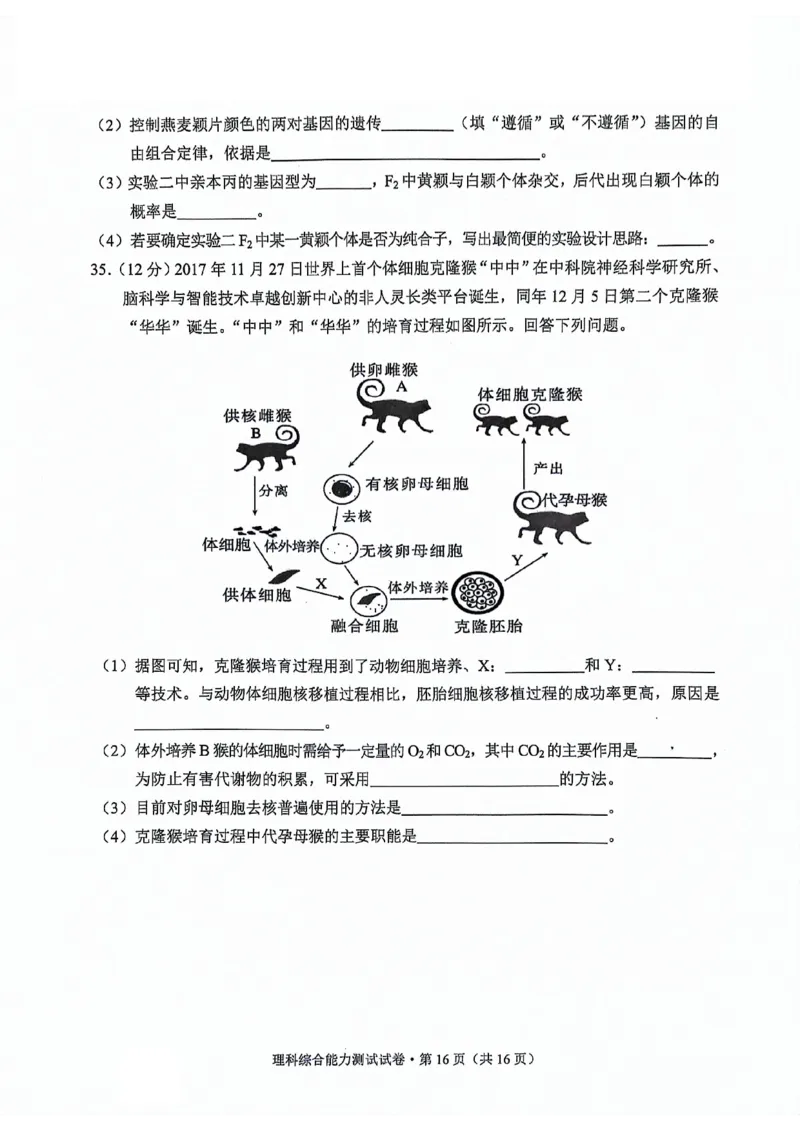 大理州2024届高中毕业生第二次复习统一检测&mdash;理科综合试卷_2024届云南省大理州高中毕业生第二次复习统一检测_云南省大理州2024届高中毕业生第二次复习统一检测理综