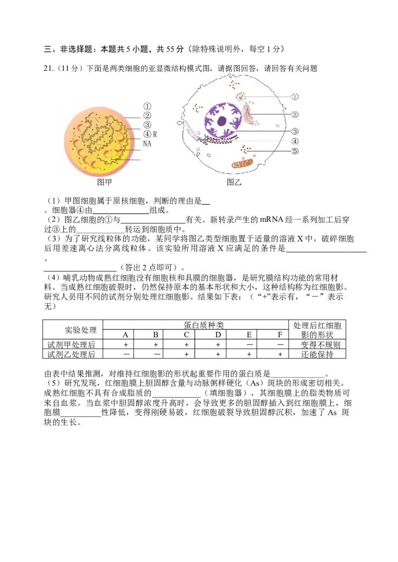 龙东十校联盟2024-2025学年高二下学期期末考试生物_2025年7月_250725黑龙江省&middot;龙东十校联盟2024-2025学年高二下学期期末考试（全科）_0823204624
