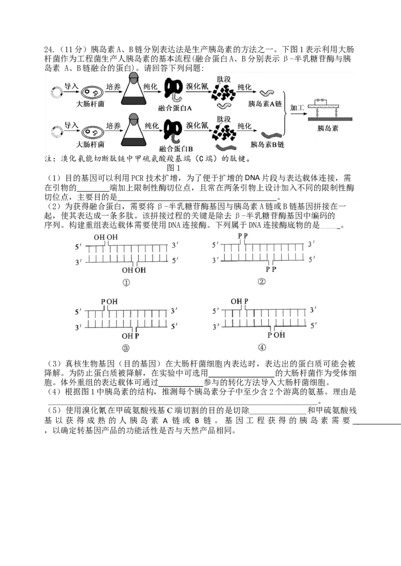 龙东十校联盟2024-2025学年高二下学期期末考试生物_2025年7月_250725黑龙江省&middot;龙东十校联盟2024-2025学年高二下学期期末考试（全科）_0823204624