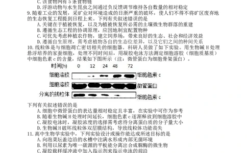龙东十校联盟2024-2025学年高二下学期期末考试生物_2025年7月_250725黑龙江省&middot;龙东十校联盟2024-2025学年高二下学期期末考试（全科）_0823204624