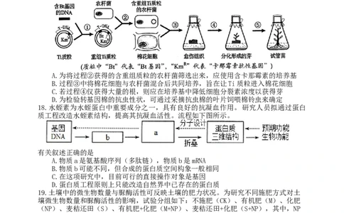 龙东十校联盟2024-2025学年高二下学期期末考试生物_2025年7月_250725黑龙江省&middot;龙东十校联盟2024-2025学年高二下学期期末考试（全科）_0823204624