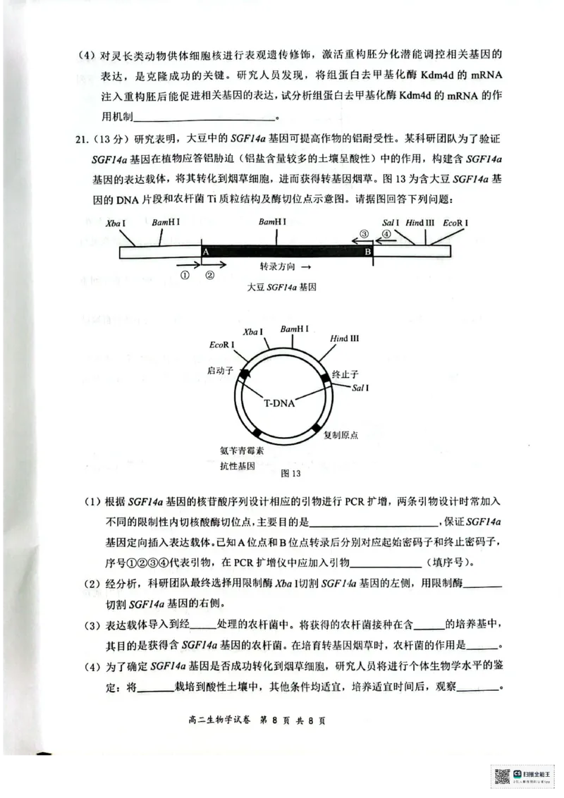 生物试卷_2025年7月_250706广西壮族自治区2025年春季学期百色市高中高二年级期末教学质量调研测试（全科）_广西壮族自治区2025年春季学期百市高中高二年级期末教学质量调研测试生物